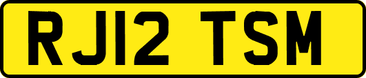 RJ12TSM