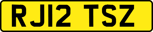 RJ12TSZ