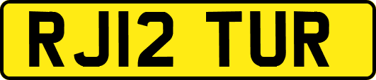 RJ12TUR