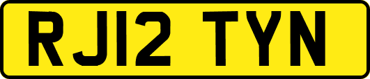 RJ12TYN