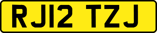 RJ12TZJ