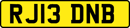 RJ13DNB