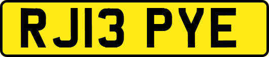 RJ13PYE
