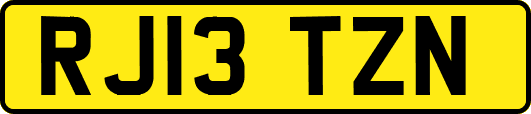 RJ13TZN