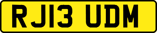 RJ13UDM