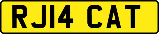 RJ14CAT