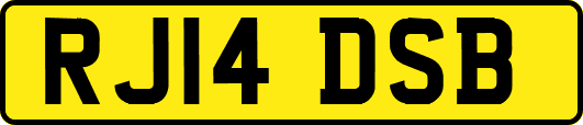 RJ14DSB