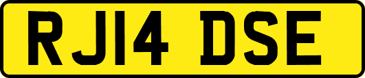 RJ14DSE