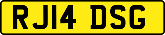 RJ14DSG
