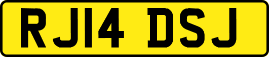 RJ14DSJ