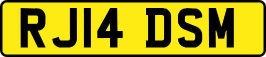 RJ14DSM