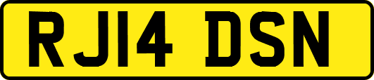 RJ14DSN