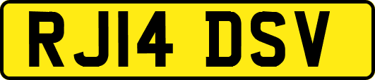 RJ14DSV