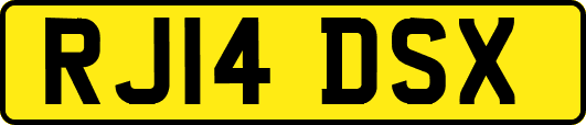 RJ14DSX