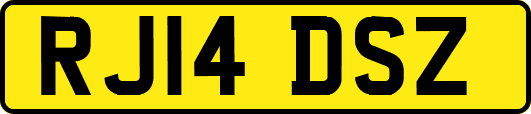 RJ14DSZ