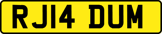 RJ14DUM