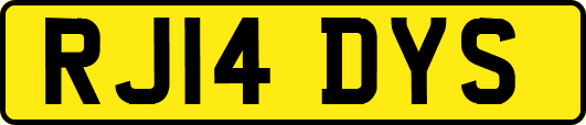 RJ14DYS