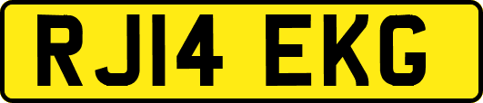 RJ14EKG