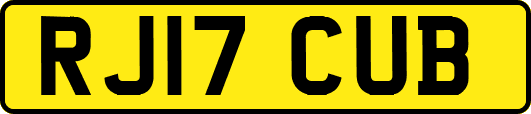 RJ17CUB