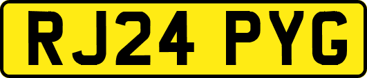 RJ24PYG