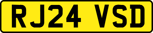 RJ24VSD