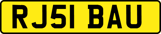 RJ51BAU