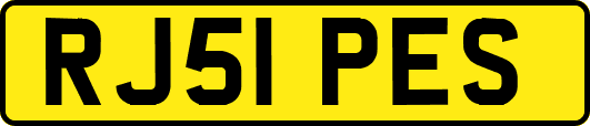 RJ51PES