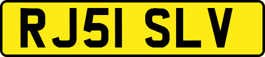 RJ51SLV