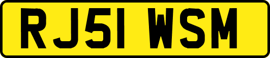 RJ51WSM