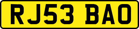 RJ53BAO