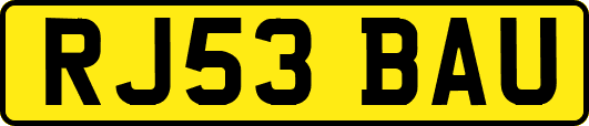 RJ53BAU