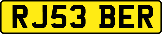 RJ53BER
