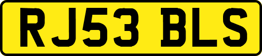 RJ53BLS