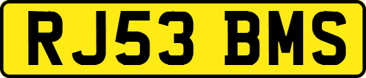 RJ53BMS