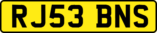 RJ53BNS