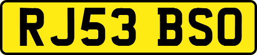 RJ53BSO