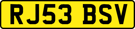 RJ53BSV
