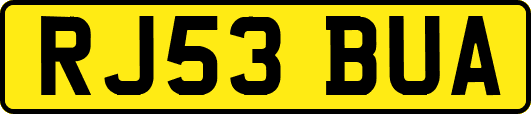 RJ53BUA
