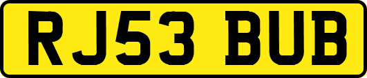 RJ53BUB