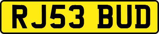 RJ53BUD