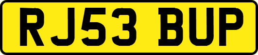 RJ53BUP