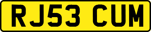 RJ53CUM