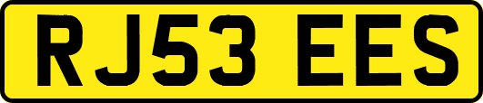 RJ53EES
