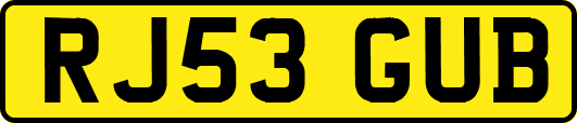 RJ53GUB