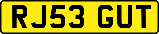 RJ53GUT