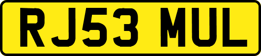 RJ53MUL