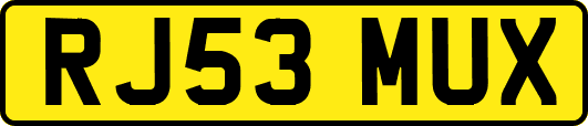 RJ53MUX