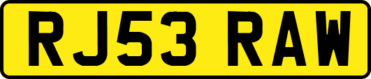 RJ53RAW
