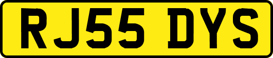 RJ55DYS