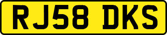 RJ58DKS